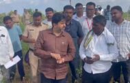 महागाव तालुक्यातील दुष्काळग्रस्त भागाची राज्यमंत्री इंद्रनील नाईक यांनी केली पाहणी...!